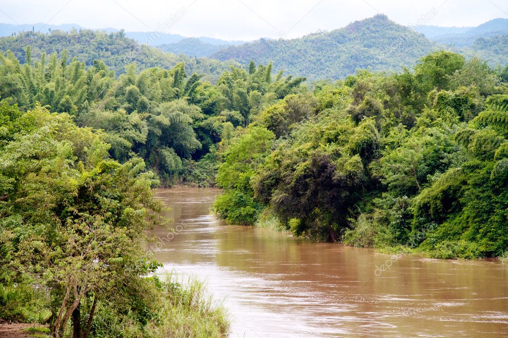 Dense green rainforest canopy over a winding river in the Amazon
